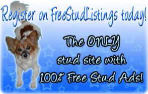 Click Here to visit FreeStudListings.com